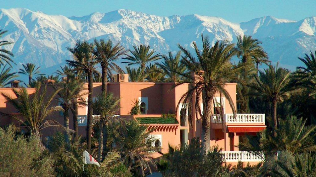 Building nestled among the palm trees with mountains in the background in Marrakech
