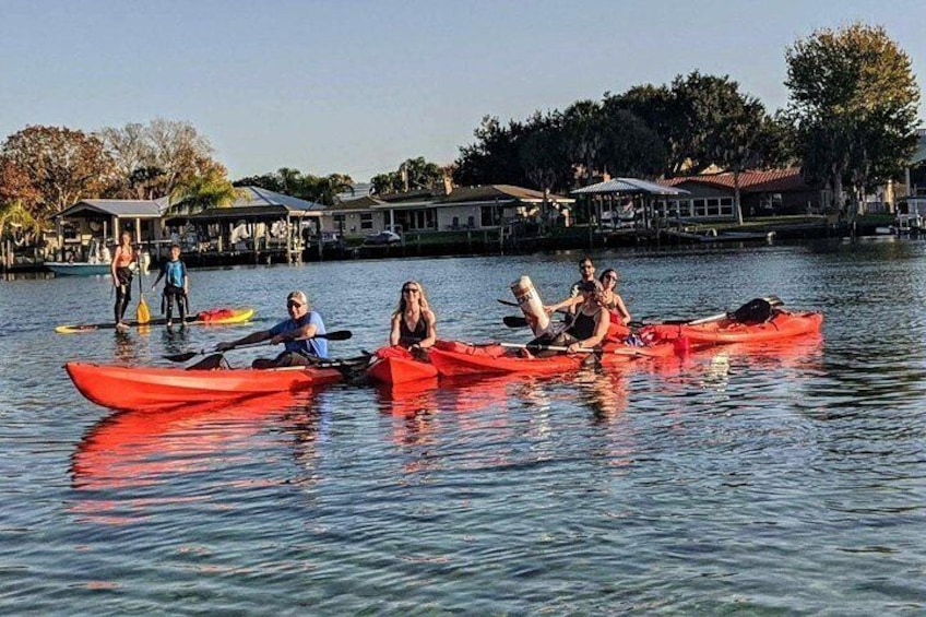 Swim With Manatees Tour