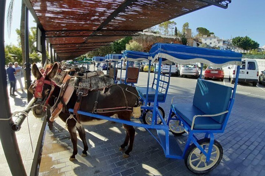 Taxi donkeys