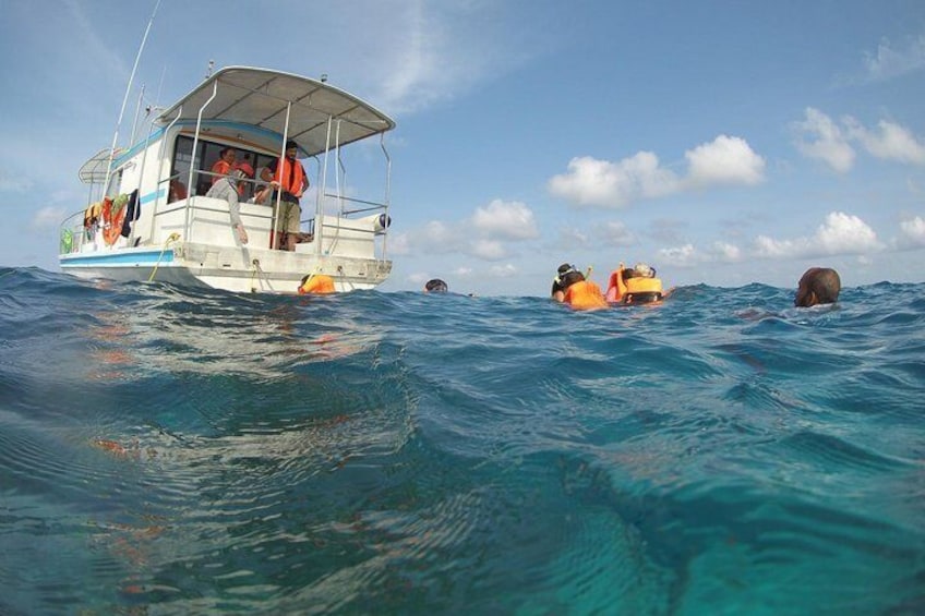 Snorkeling