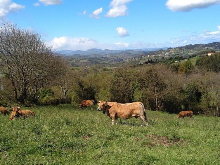 Typical view along the route. 