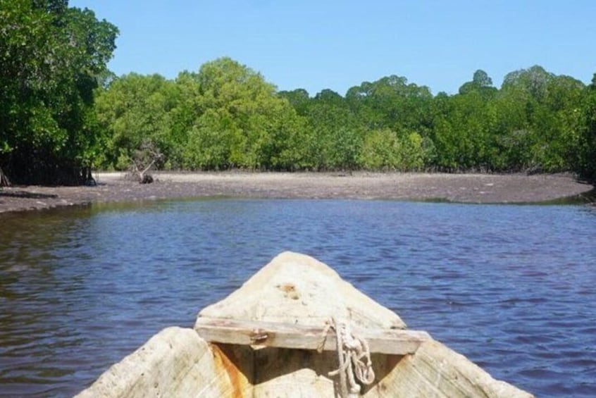 Mida Creek Boardwalk and Canoa Ride