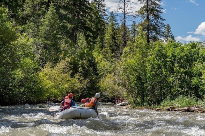 Telluride Rafting on the San Miguel River: Full-Day Rafting