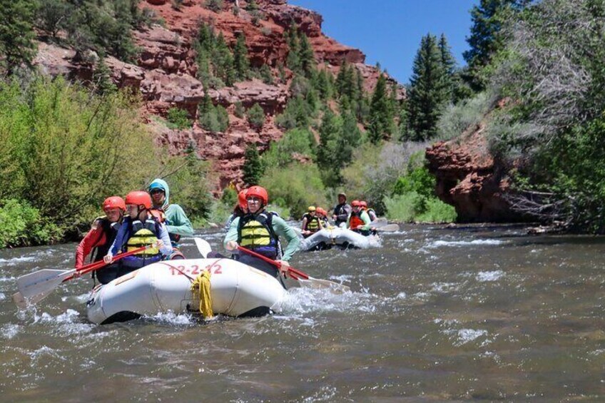Telluride Rafting on the San Miguel River: Full-Day Rafting