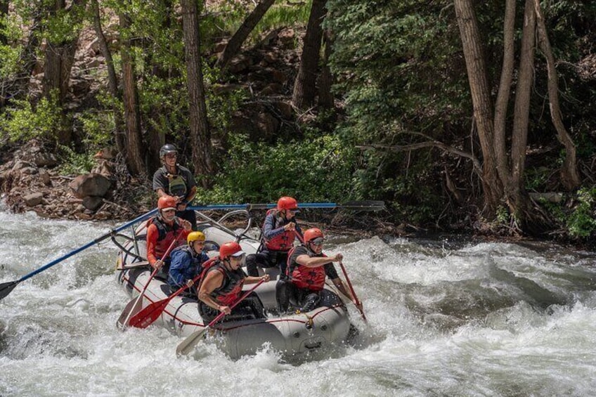 Telluride Rafting on the San Miguel River: Full-Day Rafting