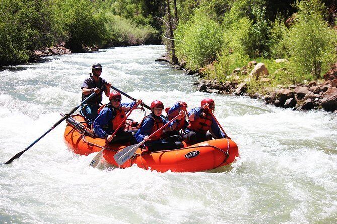 Telluride Half-Day Rafting Tour on the San Miguel River