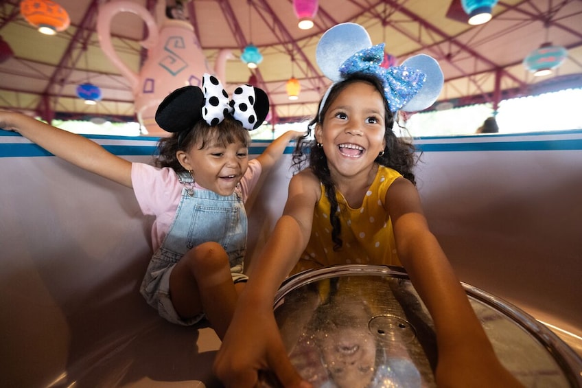 Magic Kingdom® Park