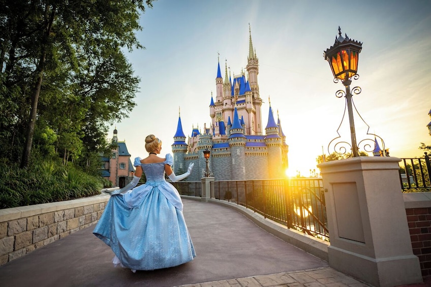 Walt Disney World® Resort Theme Park Tickets