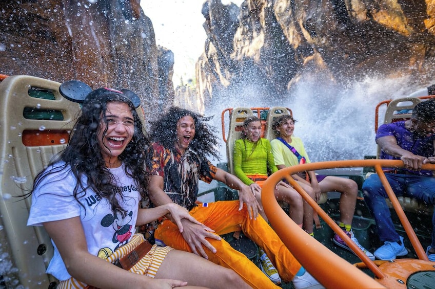 Disney’s Animal Kingdom® Theme Park