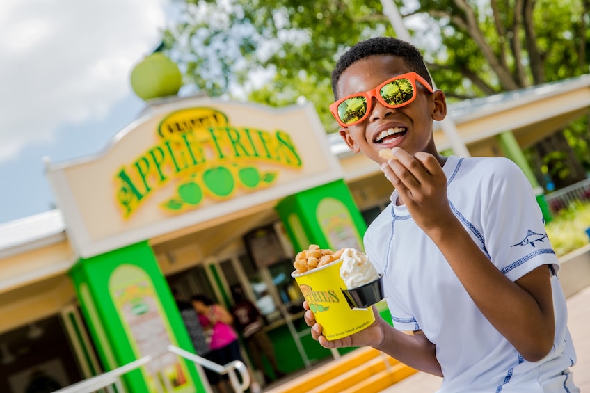 LEGOLAND® Florida Tickets