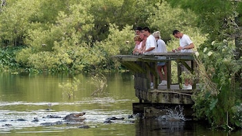 Gatorland & Airboat Ride