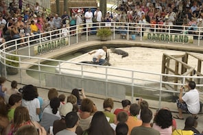 Gatorland with Transport