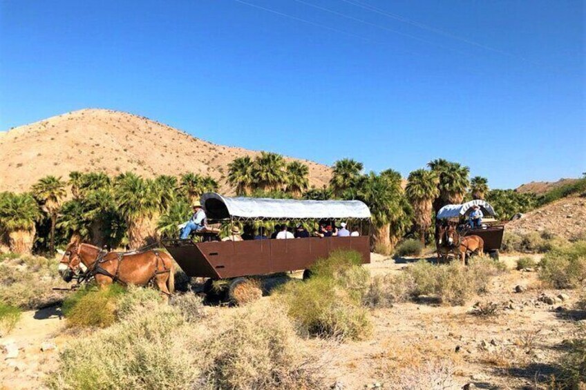 Covered Wagon Adventure & BBQ