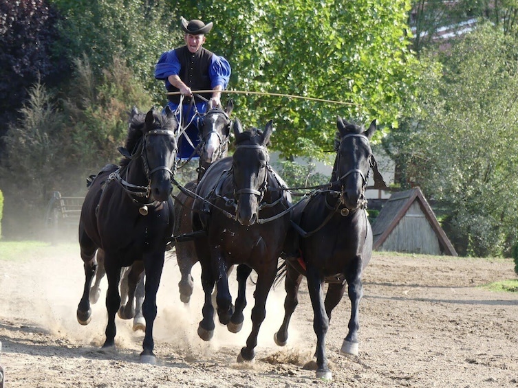 Godollo Palace with Carriage Ride & Horse Show