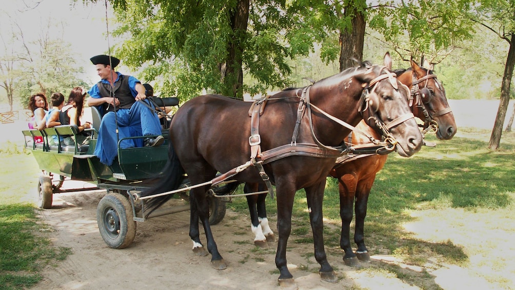 Carriage ride to the Godollo Palace in Hungary