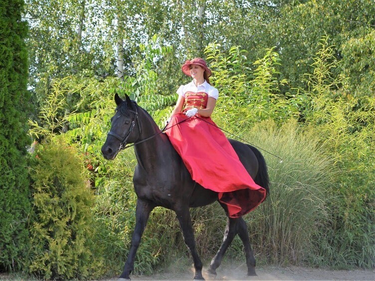 Godollo Palace with Carriage Ride & Horse Show