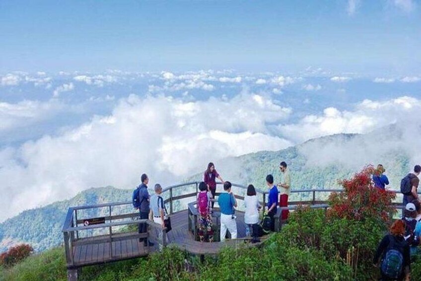 CHIANG MAI: JOIN TOUR One day Doi Inthanon ( No trekking )
