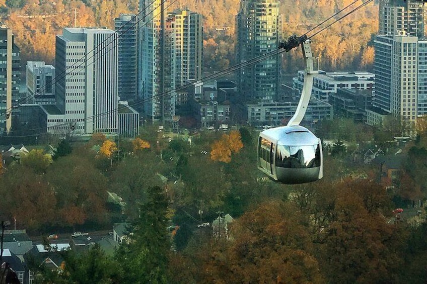 The Aerial Tram hovers above the South Waterfront