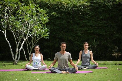 Phuket's Private Detox & Rejuvenation Experience - Yoga, Massage & Mediatio...