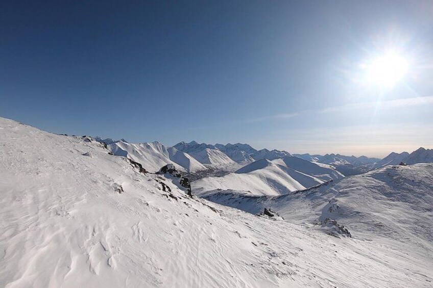 Amazing View of the Interior Chugach Mountains