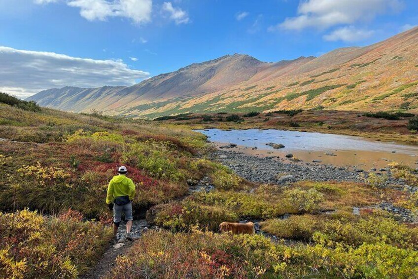 Fall time colors. Don't let the seasons stop you from enjoying Alaska!