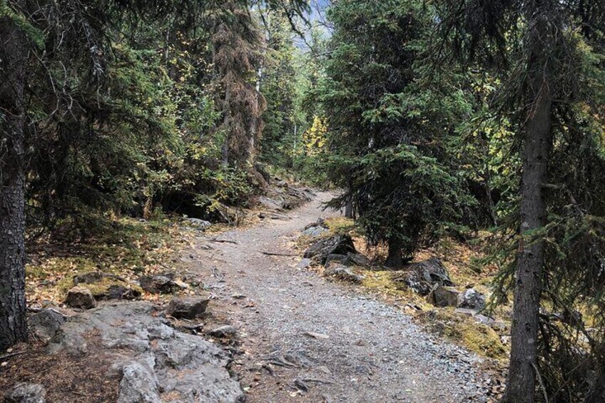 Summer Valley and Forest Hike