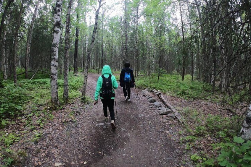 Summer Valley and Forest Hike