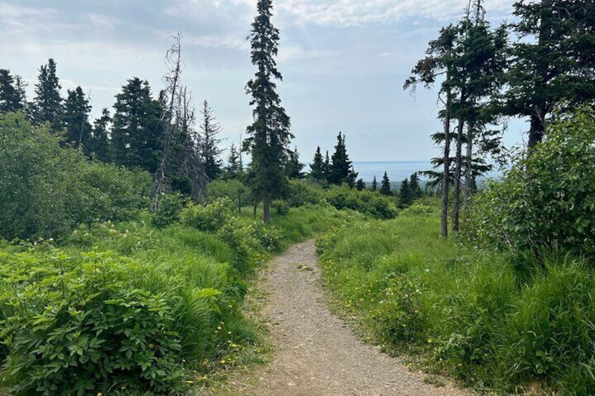 Chugach State Park Nature Walk