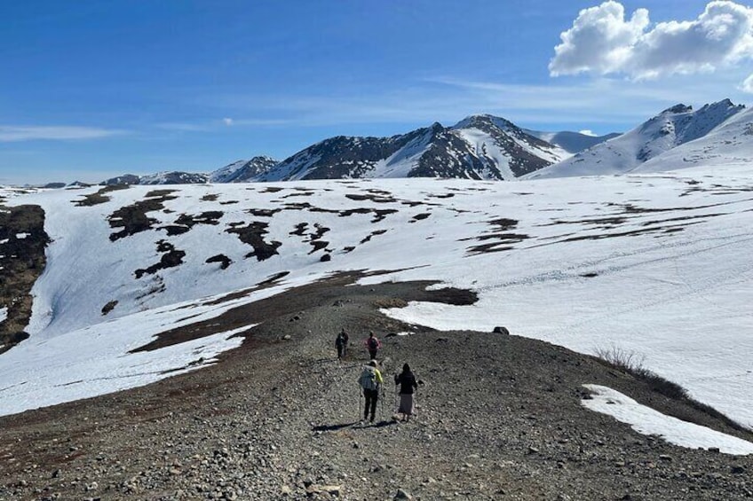 Alpine Classic Trek