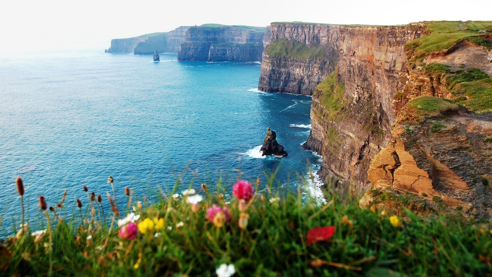 sea caves on the cliffs of Dublin bay