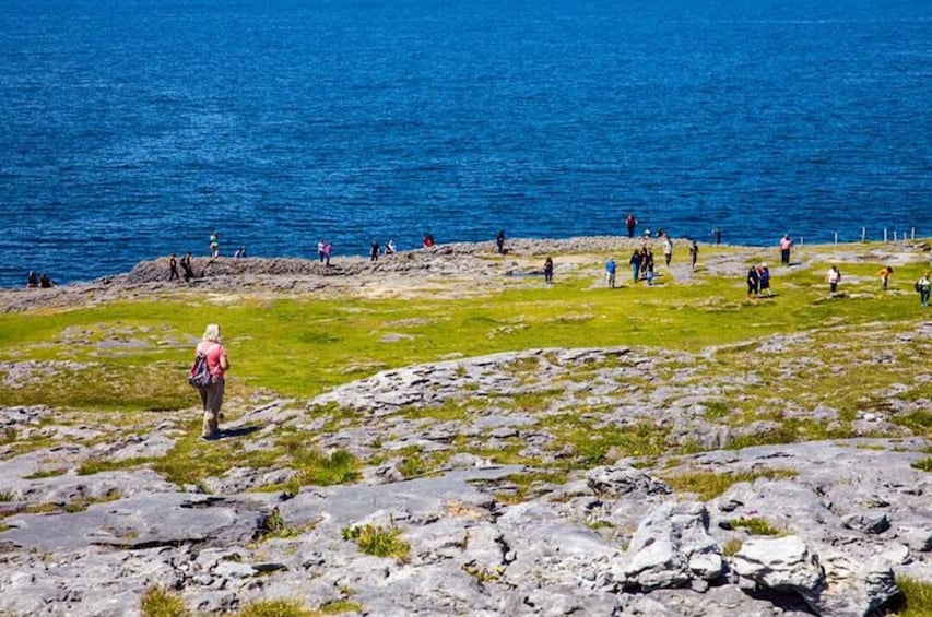 Cliffs of Moher, Doolin, Burren & Galway Day Tour From Dublin