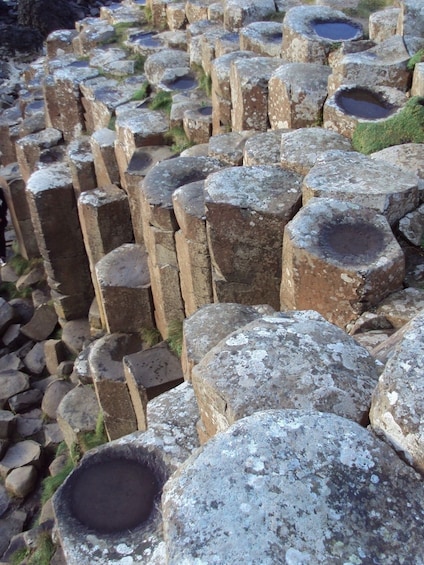 Giant's Causeway, Carrick-a-Rede Rope Bridge & Belfast City