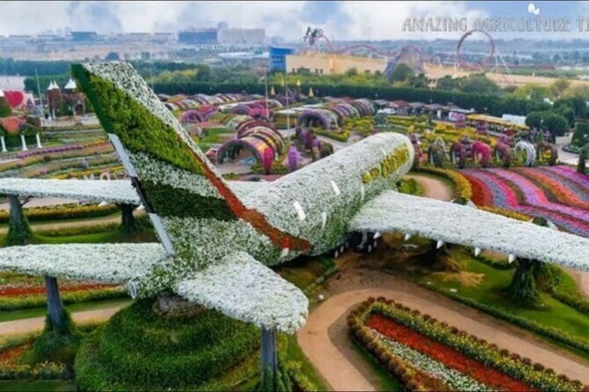 Show item 4 of 13. Dubai Miracle Garden Ticket with Transfer