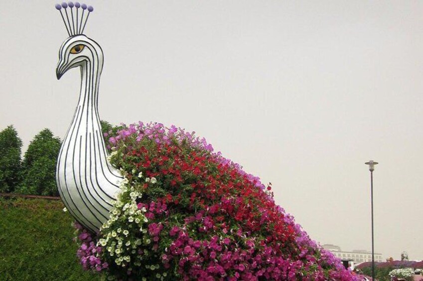 Show item 5 of 13. Dubai Miracle Garden Ticket with Transfer