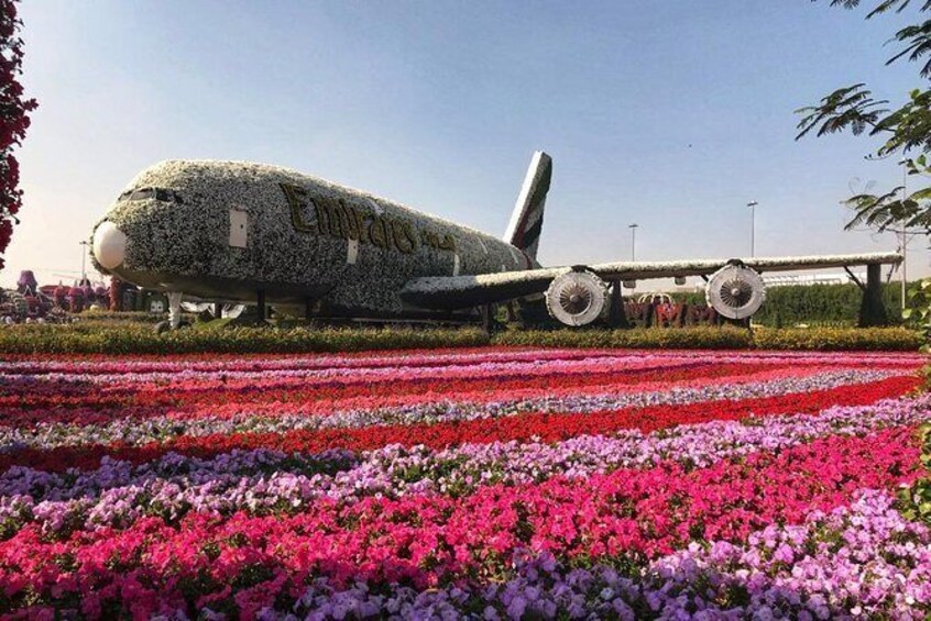 Show item 1 of 13. Dubai Miracle Garden Ticket with Transfer