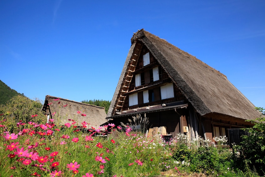 Show item 4 of 4. Shirakawa-go Half day tour (UNESCO World Heritage)