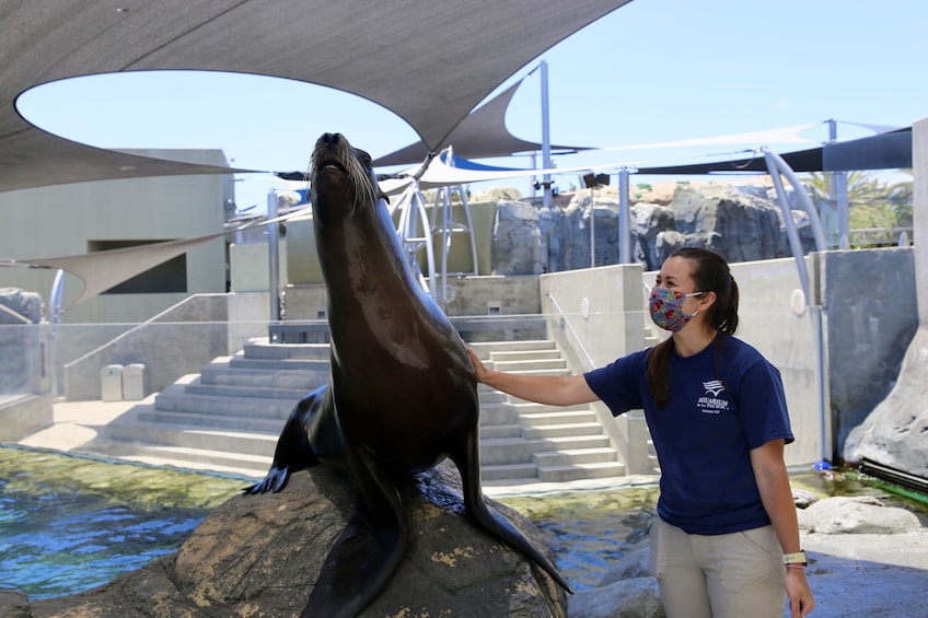 Aquarium of the Pacific Timed Tickets
