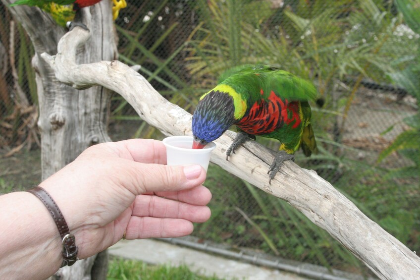Aquarium of the Pacific Tickets
