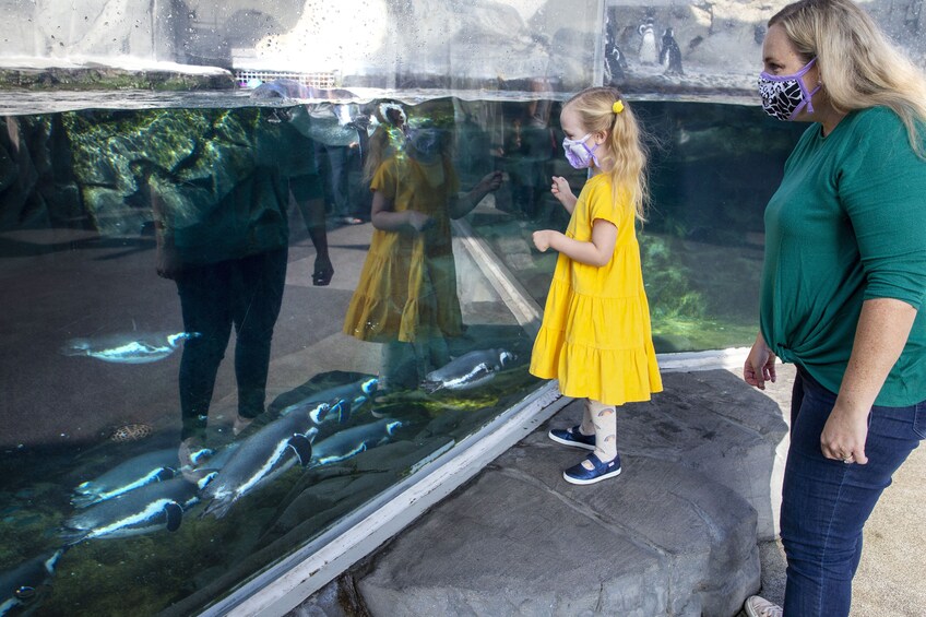Aquarium of the Pacific Timed Tickets
