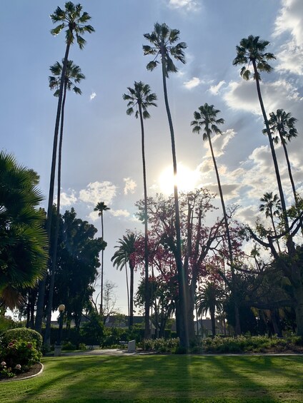 Hollywood Celebrity Homes Tour