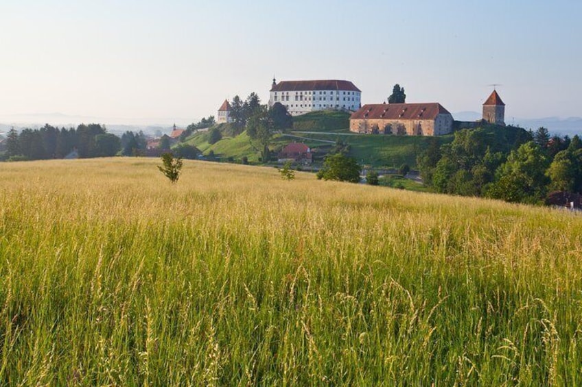 Private Maribor, Ptuj & Wine Road from Ljubljana