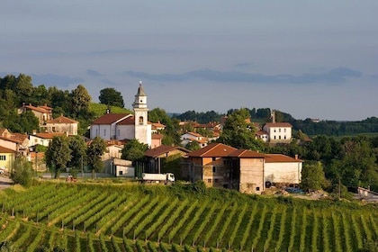 Private tour of Goriska Brda wine hills from Ljubljana