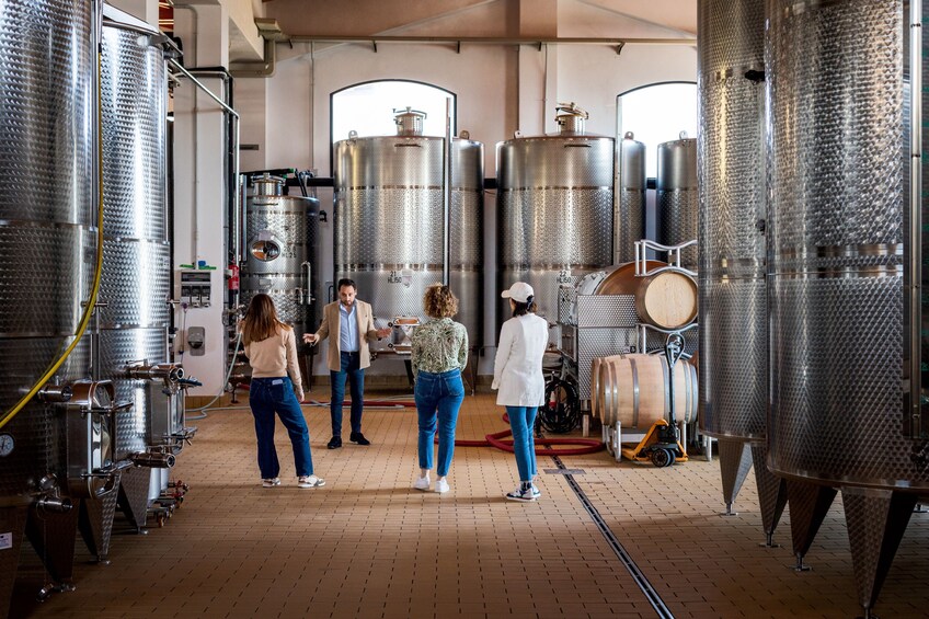 Guided Tour + 5 Wines + EVOO + Sicilian Gourmet Pairing