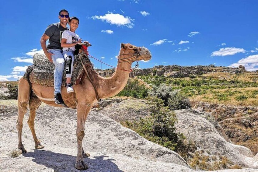 Camel Safari in Cappadocia