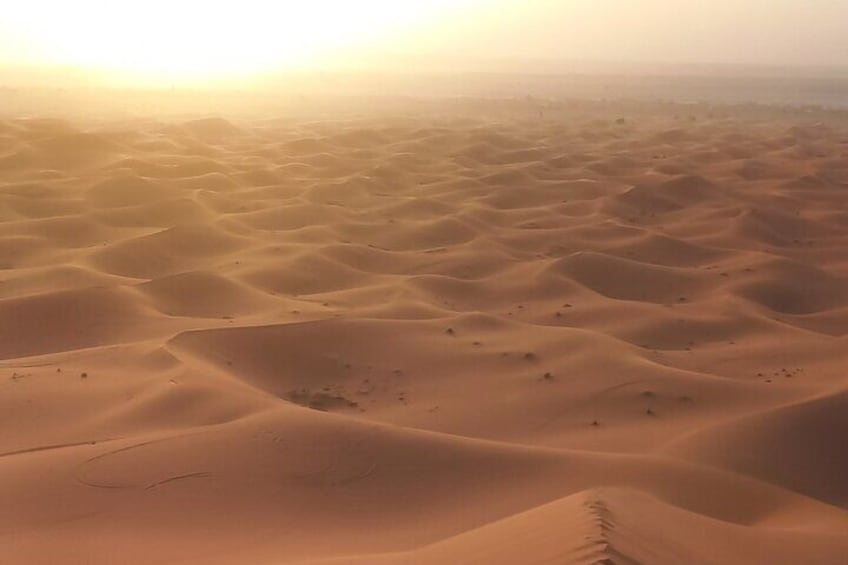 Sunset Merzouga Desert Safari in a 4x4 