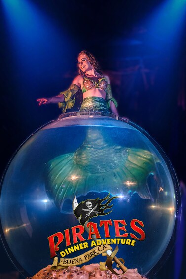 Show item 3 of 4. Pirates Dinner Adventure
