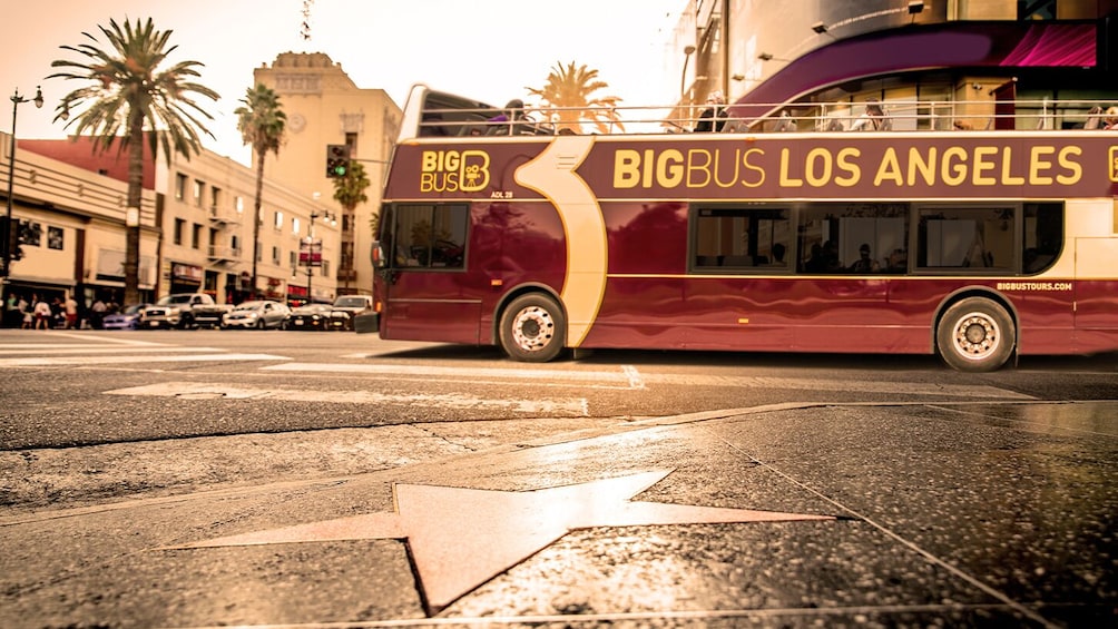 Go Los Angeles All-Inclusive: Over 40 Attractions on 1 Pass