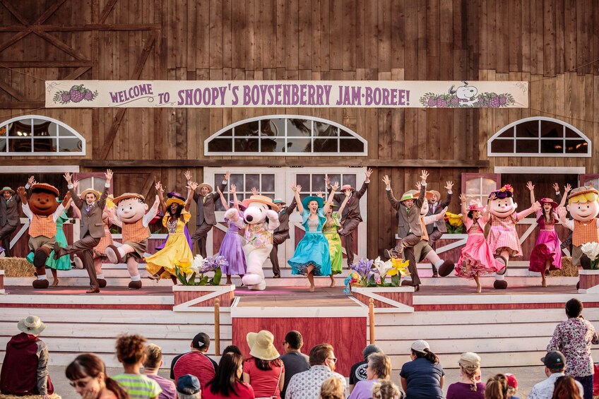 Knott's Berry Farm Tickets