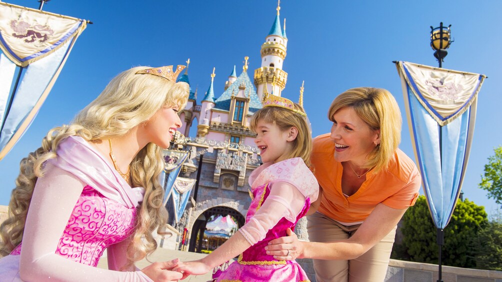 Åpne bilde 5 av 9. Cinderella in Disneyland