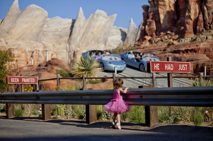 Disneyland® Resort Tickets